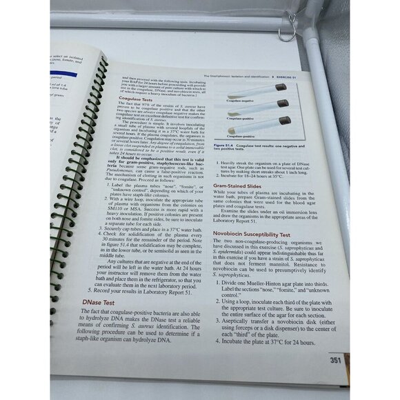 Benson's Microbiological Applications Laboratory Manual Concise by Brown 12th ED - Picture 12 of 13